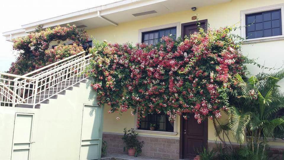Apartamento Corporativo Pena Blanca Luaran gambar